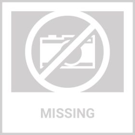 Zippered Waist Trainer Corset Waist Tummy Control Body Shaper Cincher Back Support With Adjustable Straps (Option: s)