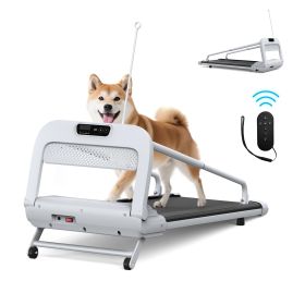2025 New Quiet Smart Pet Treadmill, Adjustable Speed, Perfect For Small-Medium Dogs (Option: Off white)